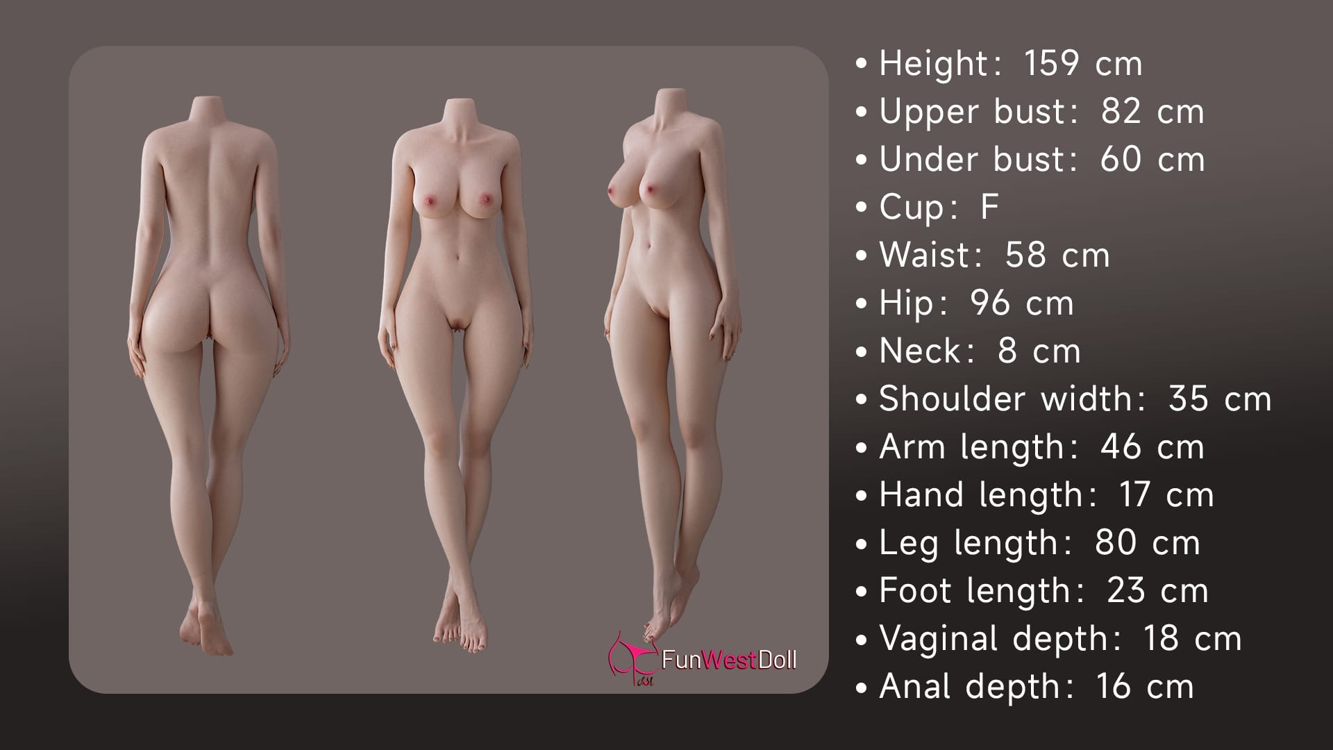 Mensurations corps 159cm F-CUP